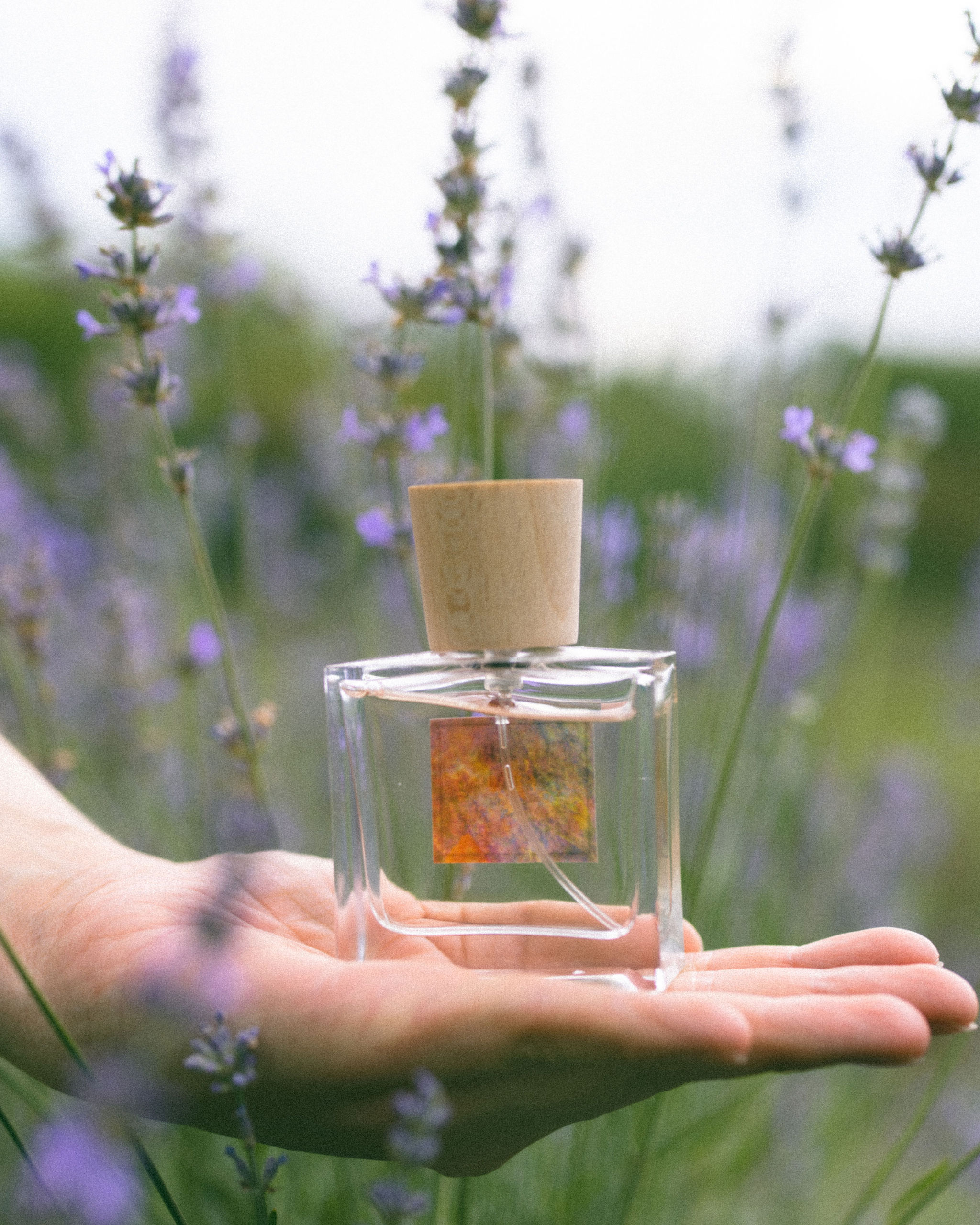Arcadie Florale - Ảnh 4