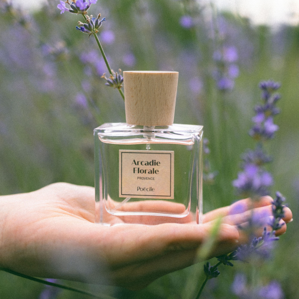Arcadie Florale