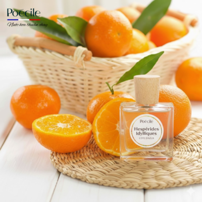 Nước hoa citrus mùi hương giúp reset năng lượng