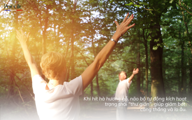Hương gỗ trong nước hoa có thể khiến tâm trạng bình ổn, thư giãn 