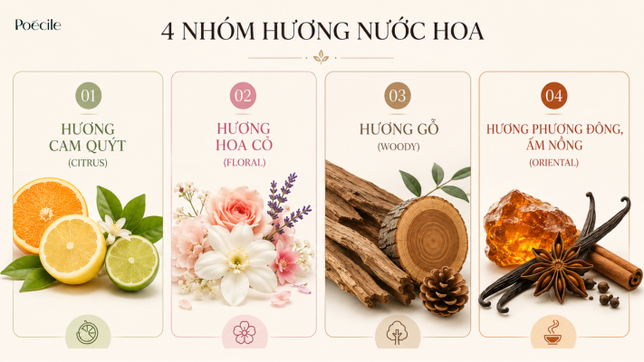 Infographic phân loại 4 nhóm hương nước hoa chính gồm Hương Cam Quýt, Hương Hoa Cỏ, Hương Gỗ và Hương Phương Đông.