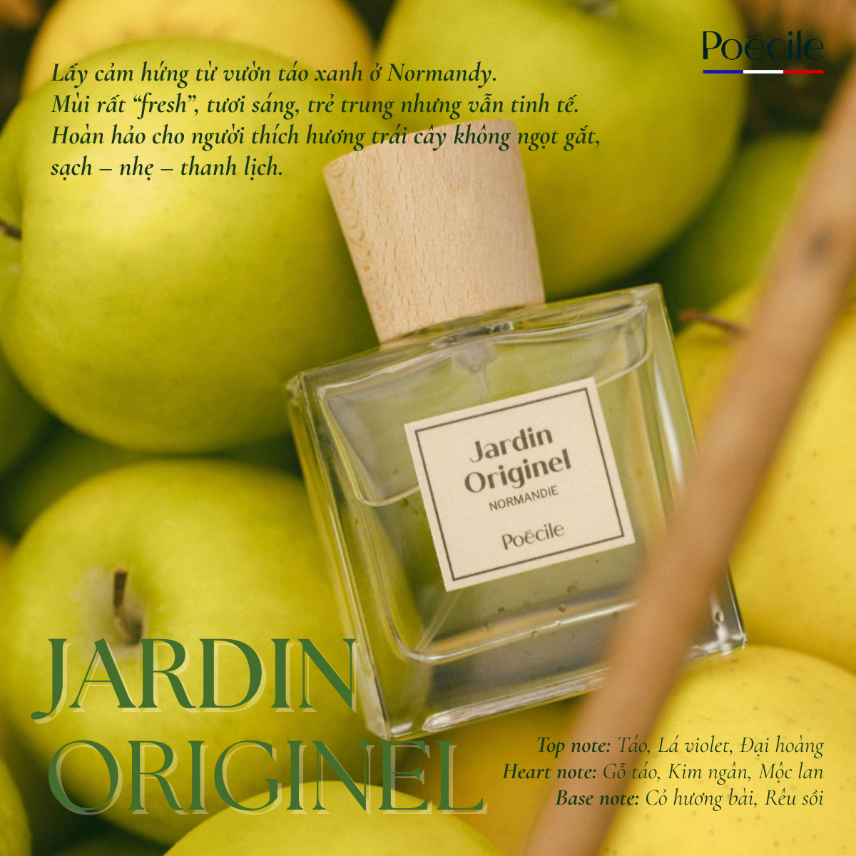 Jardin Originel - Ảnh 6