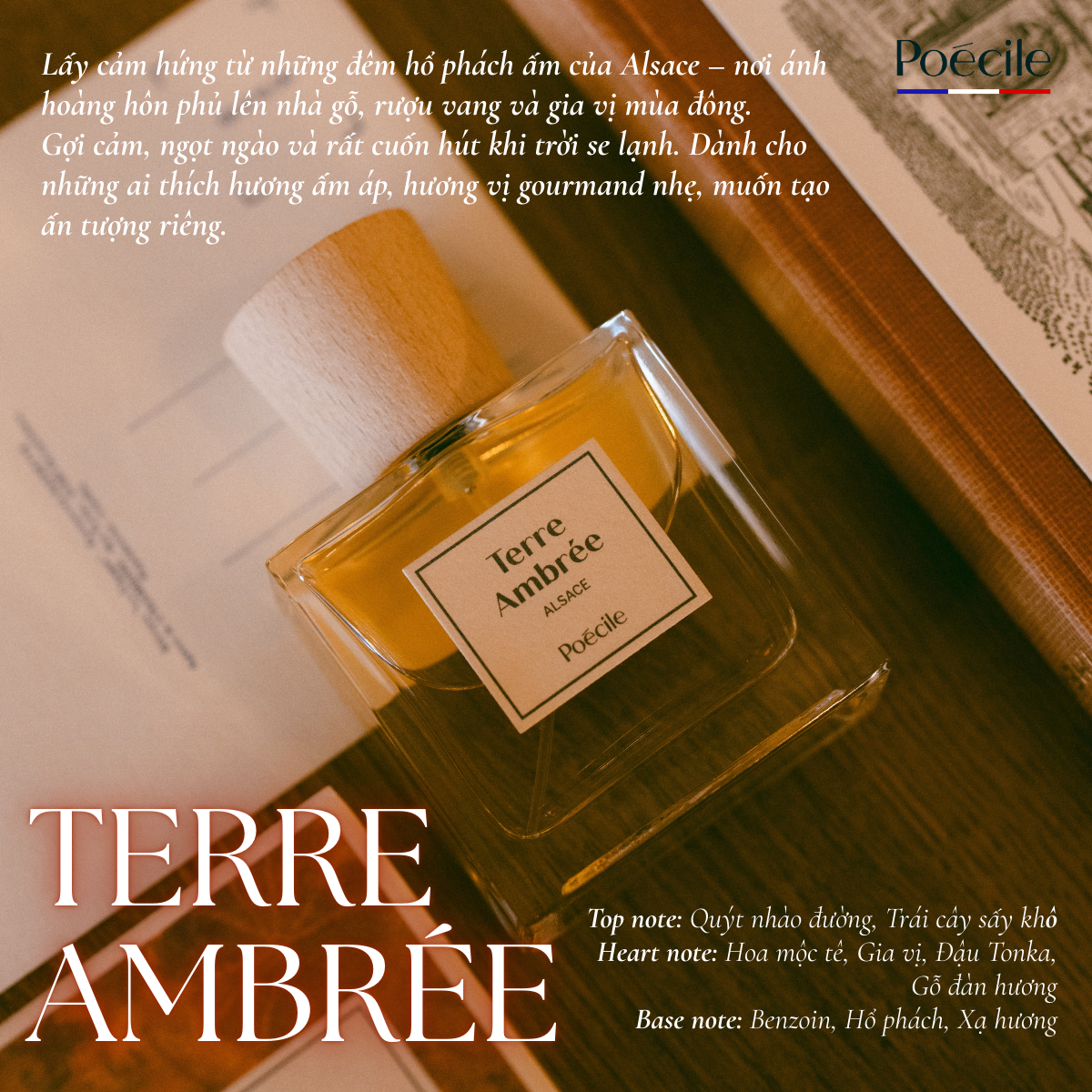 Terre Ambrée - Ảnh 7