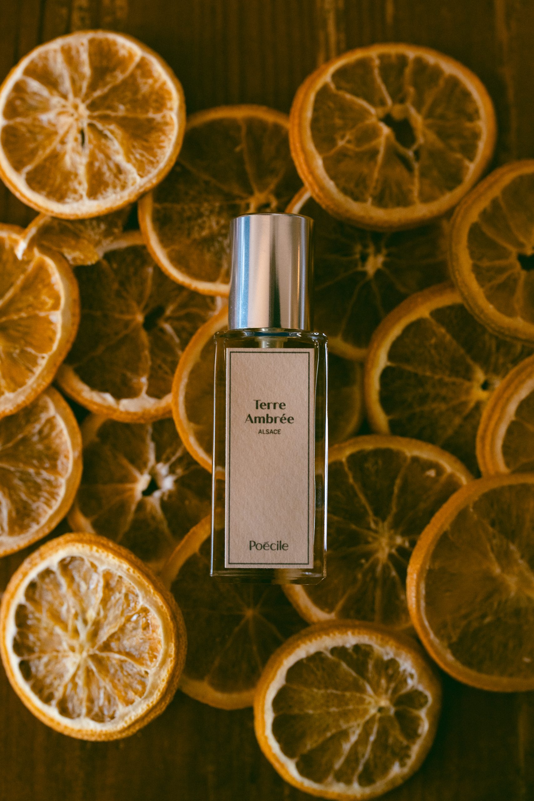 Terre Ambrée - Ảnh 5
