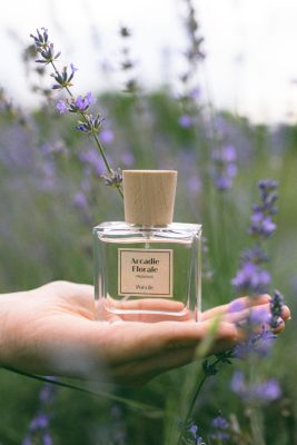 Bàn tay nâng niu chai nước hoa thuần chay Poécile Arcadie Florale Provence giữa cánh đồng hoa oải hương dành cho cung hệ Khí.