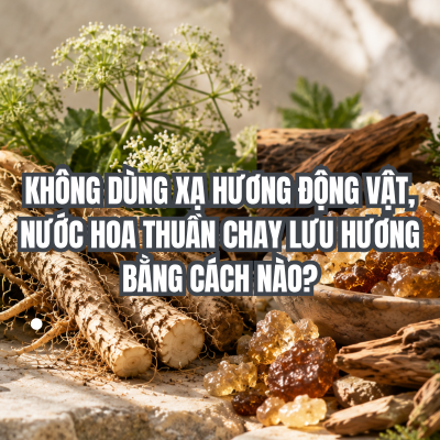 Ảnh bìa bài viết với câu hỏi không dùng xạ hương động vật nước hoa thuần chay lưu hương bằng cách nào trên nền rễ bạch chỉ và nhựa cây tự nhiên.