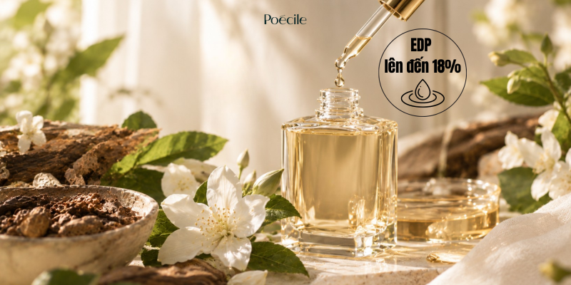 Ống nhỏ giọt chiết tinh dầu vàng óng vào chai nước hoa thuần chay Poécile nồng độ EDP lên đến 18% bên hoa lài trắng và vỏ cây tự nhiên.   